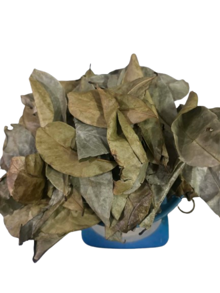 Soursop Leaves Air-Dried (50g)